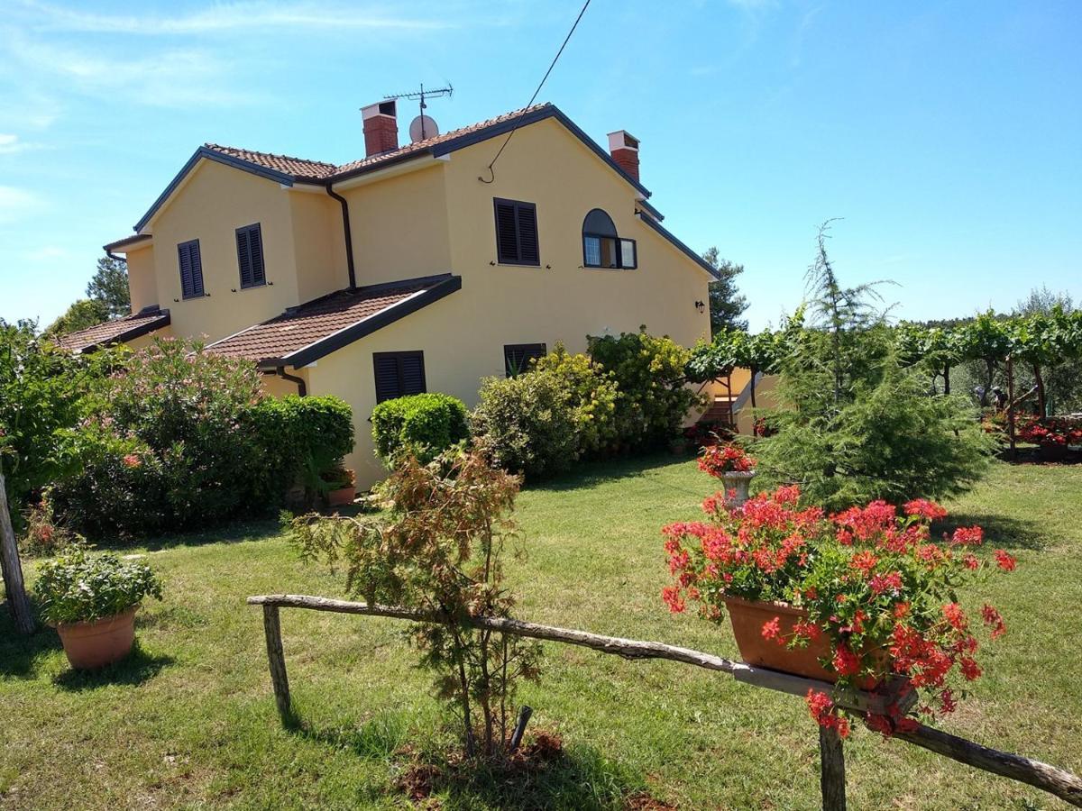 Apartments Graziella Zambratija Exterior foto